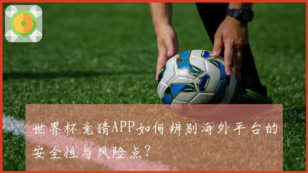 世界杯竞猜APP如何辨别海外平台的安全性与风险点？