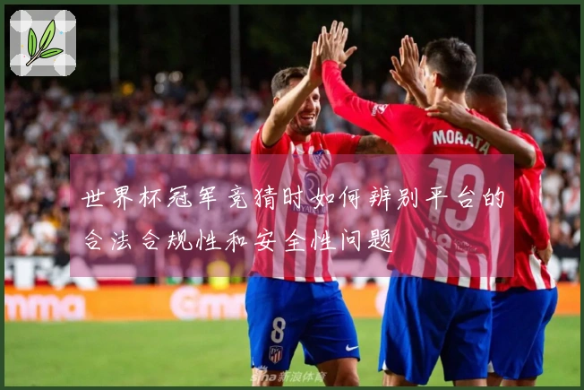 世界杯冠军竞猜时如何辨别平台的合法合规性和安全性问题