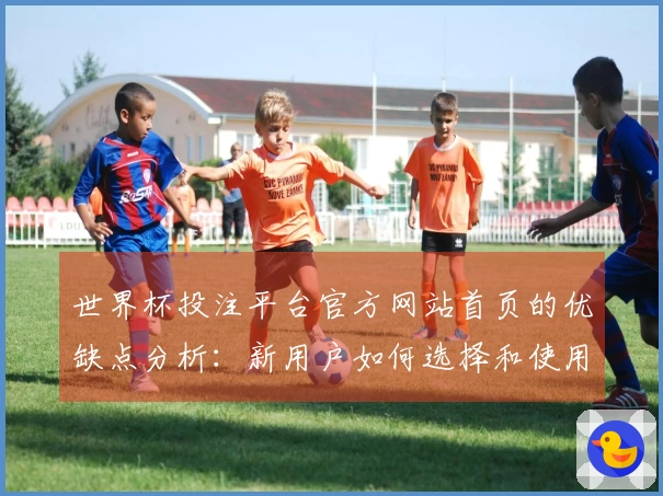 世界杯投注平台官方网站首页的优缺点分析：新用户如何选择和使用的指南