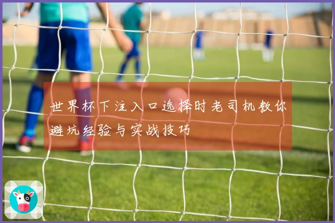 世界杯下注入口选择时老司机教你避坑经验与实战技巧