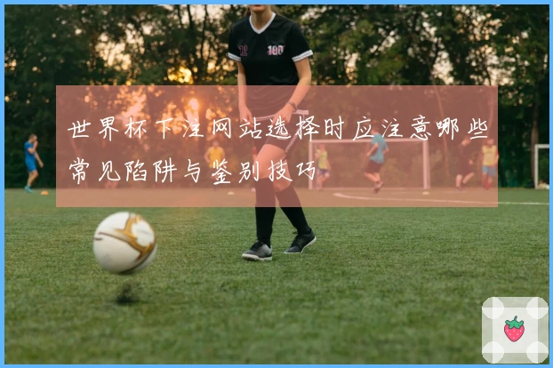 世界杯下注网站选择时应注意哪些常见陷阱与鉴别技巧