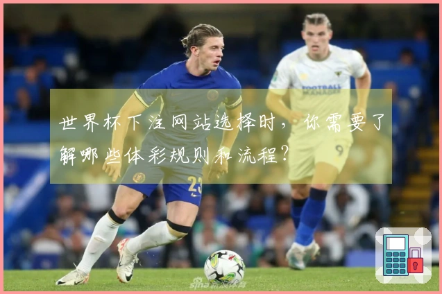 世界杯下注网站选择时，你需要了解哪些体彩规则和流程？