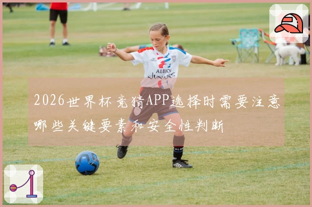 2026世界杯竞猜APP选择时需要注意哪些关键要素和安全性判断