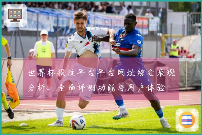 世界杯投注平台平台网址综合表现分析：全面评测功能与用户体验