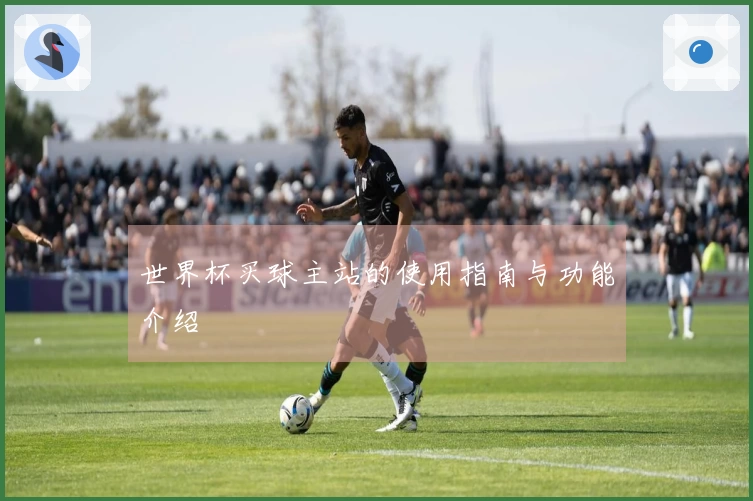 世界杯买球主站的使用指南与功能介绍