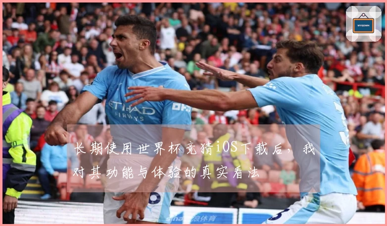 长期使用世界杯竞猜iOS下载后，我对其功能与体验的真实看法