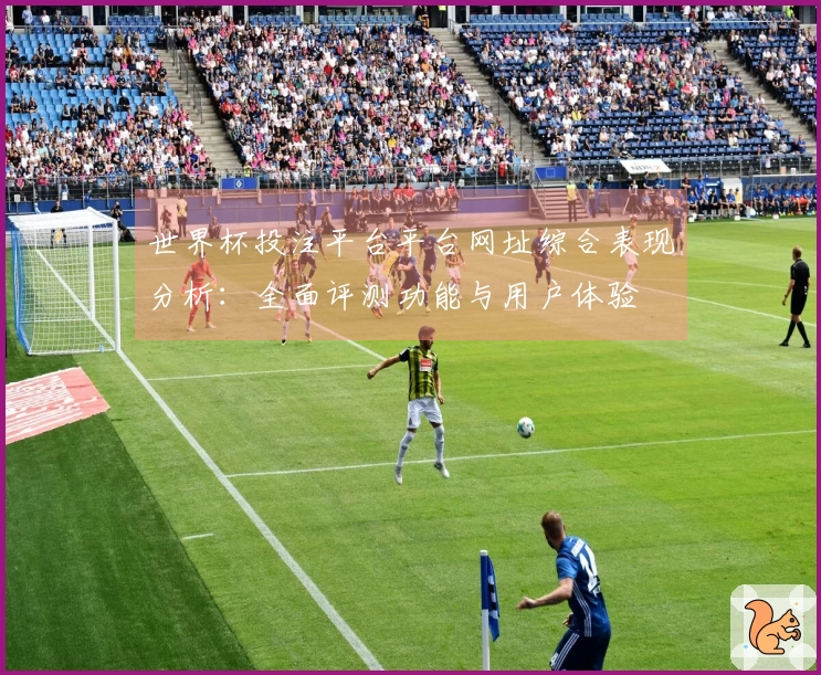 世界杯投注平台平台网址综合表现分析：全面评测功能与用户体验