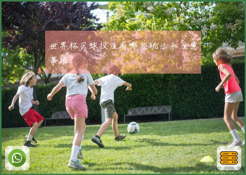 世界杯买球投注有哪些玩法和注意事项？